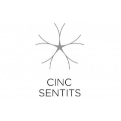 logo cincsetist